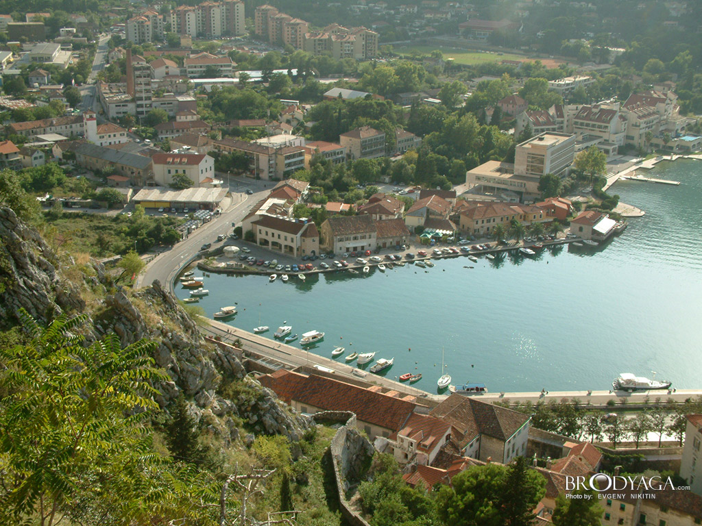 Kotor
